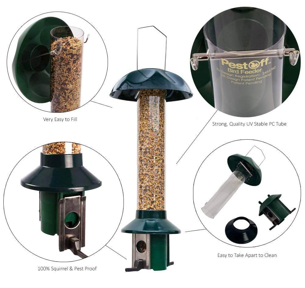 The Squirrel Proof Bird Feeder That Actually Works - Bird Photography Life